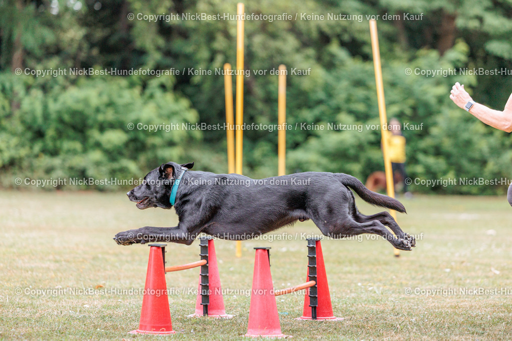 THS-Quakenbrück-2026-Nickbest-Hundefotografie-4898 | Dein Hund! Dein Moment! Deine Erinnerungen! Hundefotografie in Bremen Blumenthal. Ich fange die besonderen Momente deines Vierbeiners ein – ob Indoor mit Blitzanlage oder in der freien Natur. Sicher dir dein Moment und dein Termin für eure Erinnerungen.