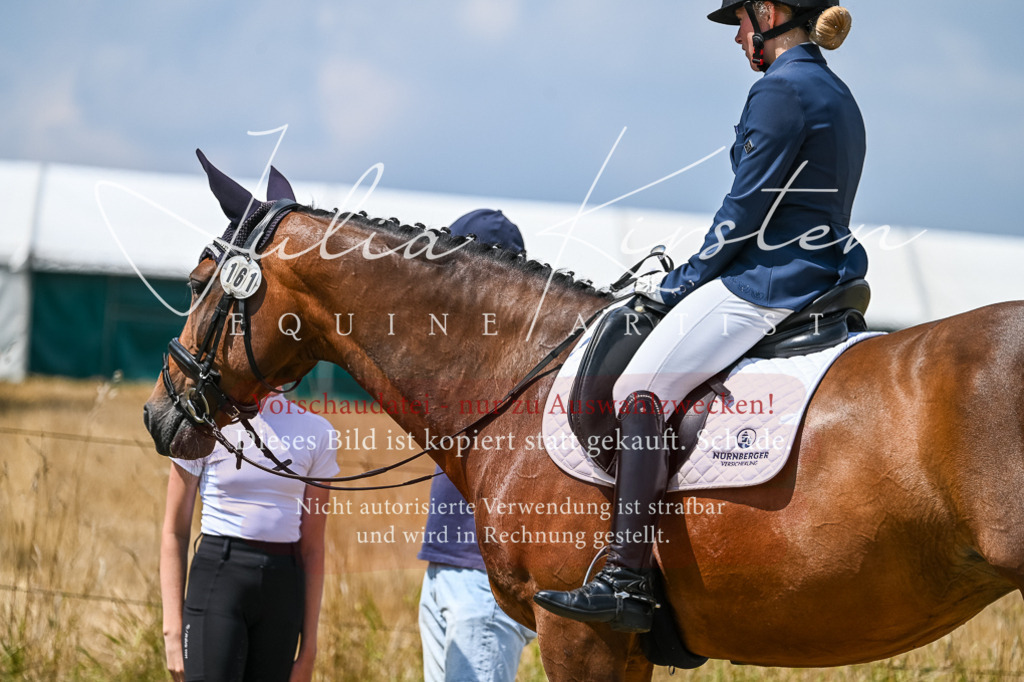 DSC_2706 | Pferde- und Turnierfotografie in Westsachsen. Pferdeportraits, Auftragszeichnungen und intuitive Kunst.