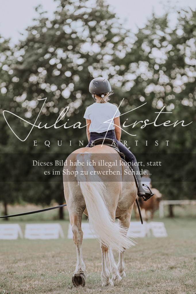 DSC_7707 | Pferde- und Turnierfotografie in Westsachsen. Pferdeportraits, Auftragszeichnungen und intuitive Kunst.