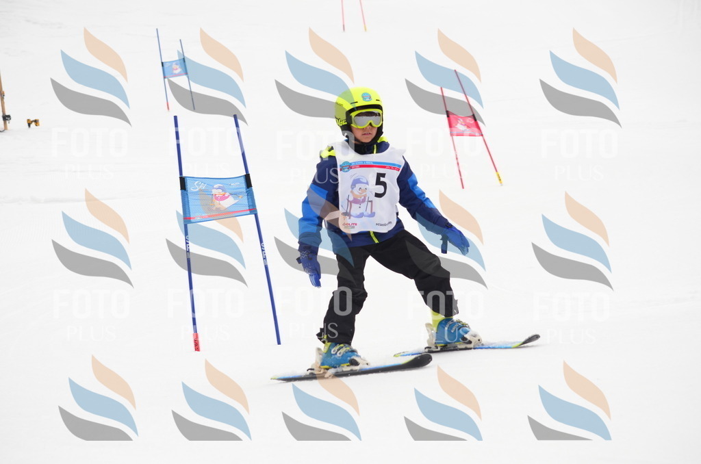 B9292 | holidayphoto