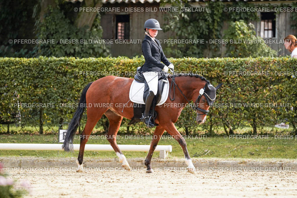 DSC04608 | Pferdegrafie