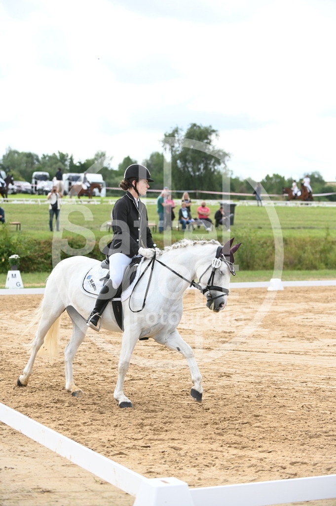 DSC_6190 | sattelsport - Realisiert mit Pictrs.com