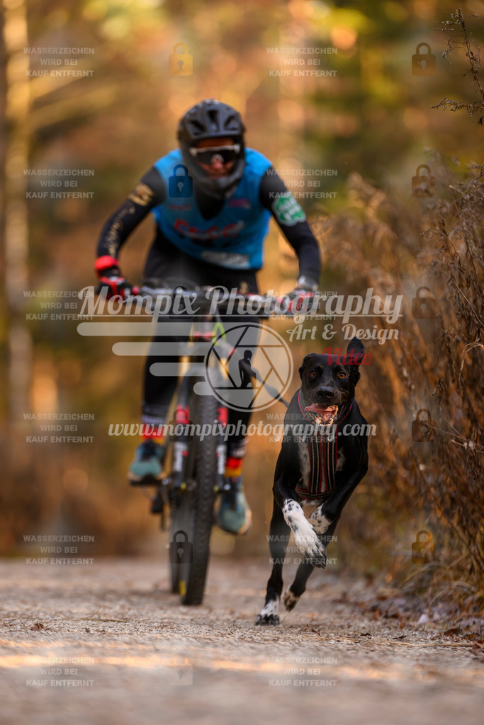 MompixPhotography_DM_AKDM_SO_2025_Bike-60 | PayLife