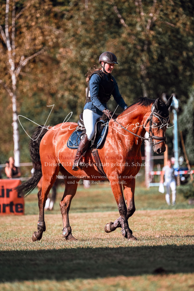 DSC_0552 | Pferde- und Turnierfotografie in Westsachsen. Pferdeportraits, Auftragszeichnungen und intuitive Kunst.