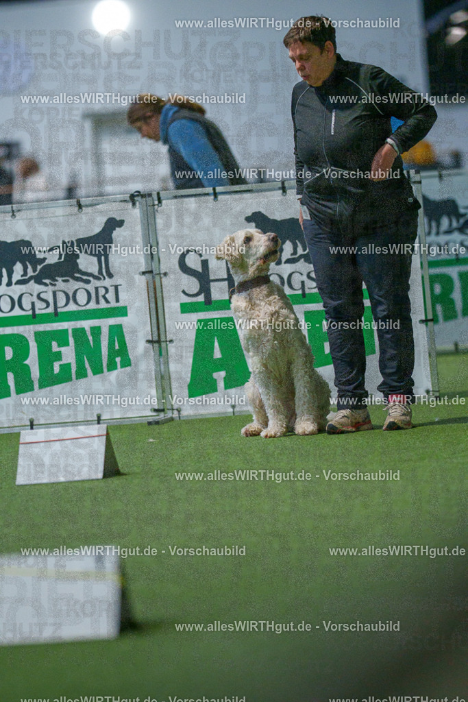 7R500760 | Professionelle Tierfotografie in Mönchengladbach von Daniel Wirth (allesWIRTHgut). Liebevolle & natürliche Bilder von Hunden & Katzen für unvergessliche Erinnerungen.