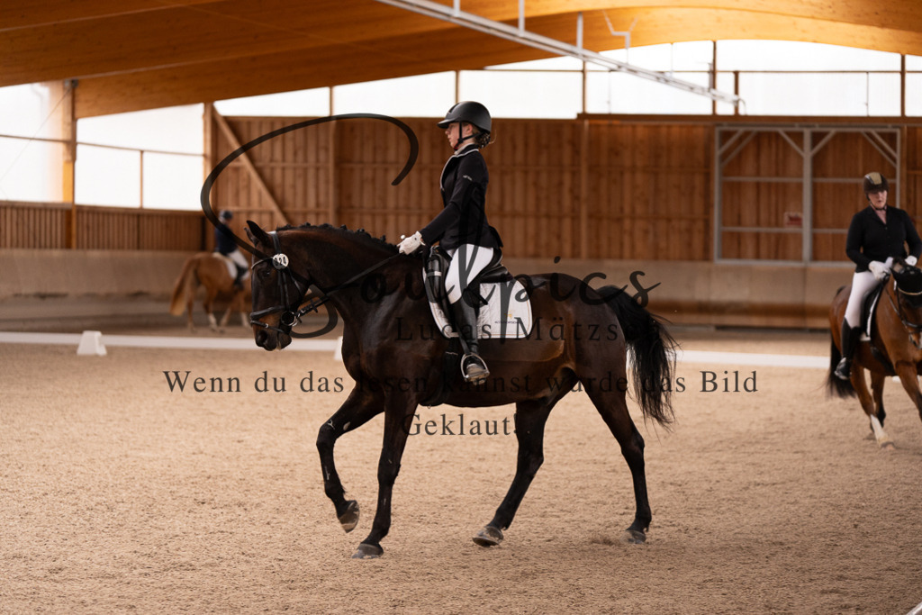A7506896 | Turnier/Reitfotograf
