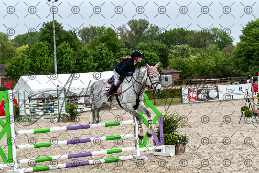 KPT_7892 | andre_photographic