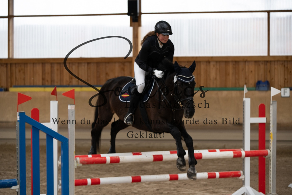 A7V00633 | Pferdefotograf