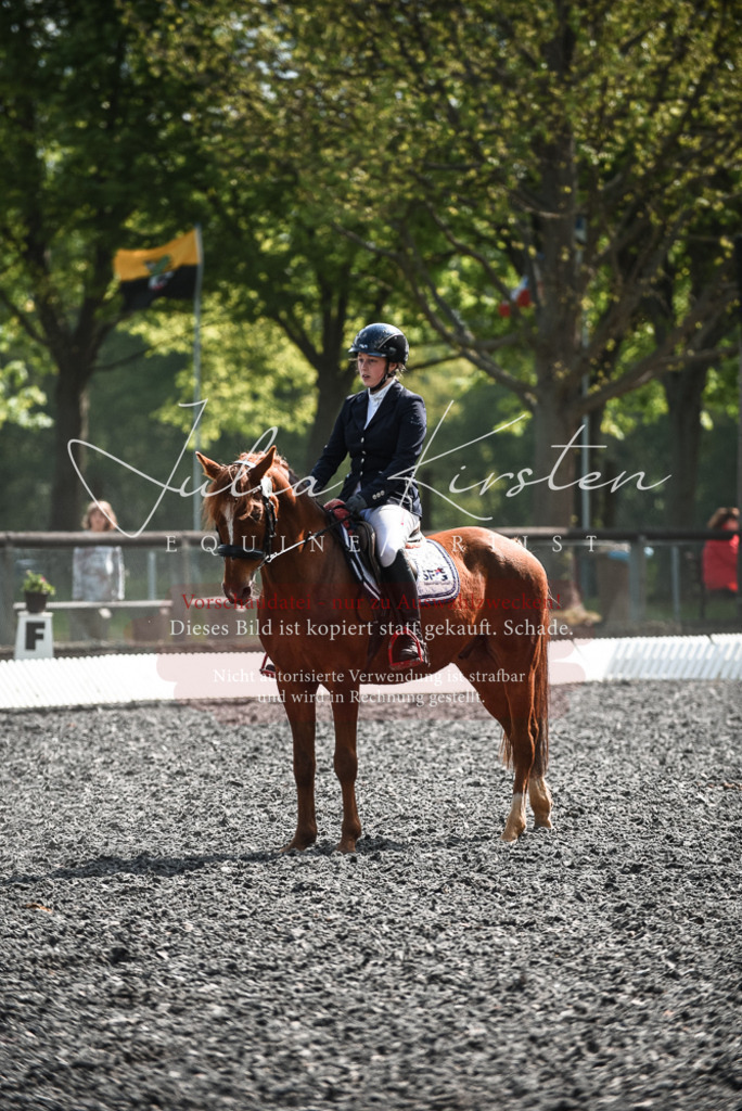 DSC_9021 | Pferde- und Turnierfotografie in Westsachsen. Pferdeportraits, Auftragszeichnungen und intuitive Kunst.