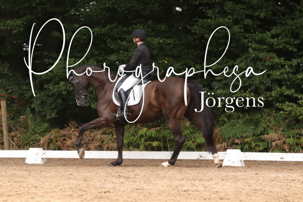 IMG_9837 | photographesa-joergens - Realisiert mit Pictrs.com