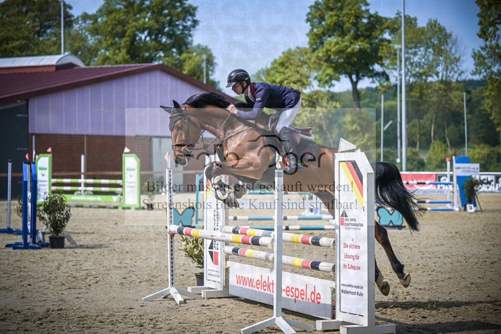 DOS_7306 | Entdecke hochwertige Reitturnierfotos von Foto Oger. Professionell, emotional und authentisch – jetzt Lieblingsmomente im Shop bestellen.Deutschlandweite Turnierfotografie. - Realisiert mit Pictrs.com