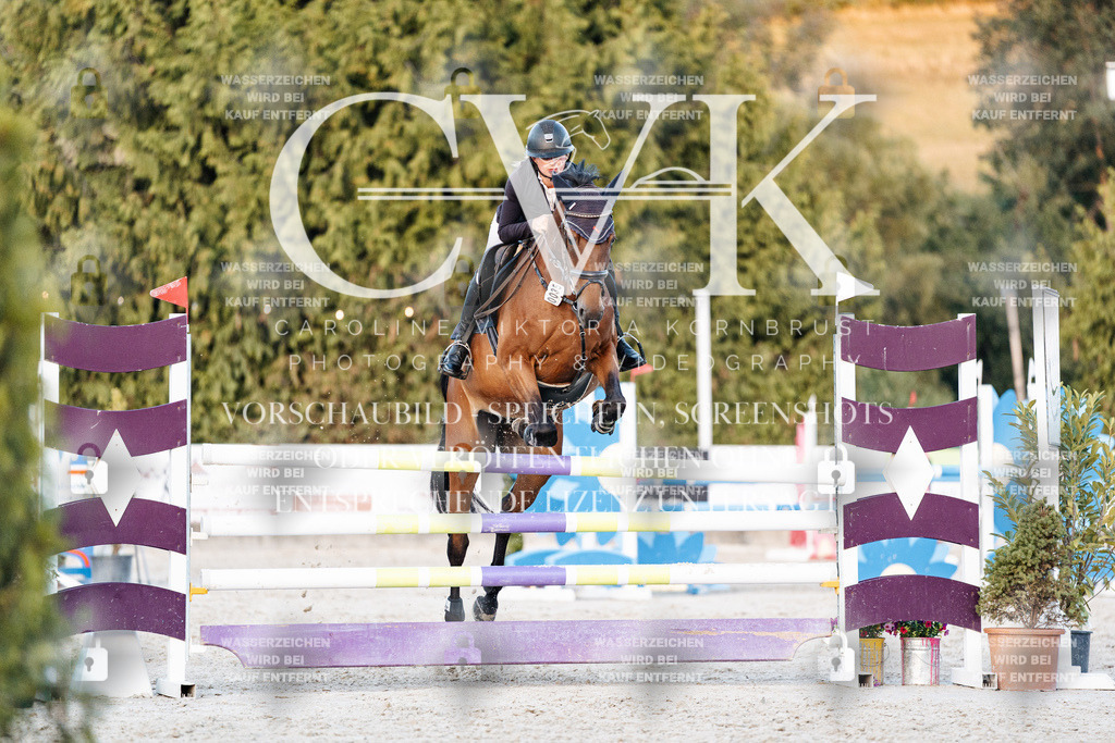 CK901326 | Turnierfotografie Pferdefotografie Trier Rheinland-Pfalz Pferdesport Reitsport Tierfotografie Sportfotografie Pferdevideo Pferdevideografie Equestrianvideography equestrianphotography  - Realisiert mit Pictrs.com