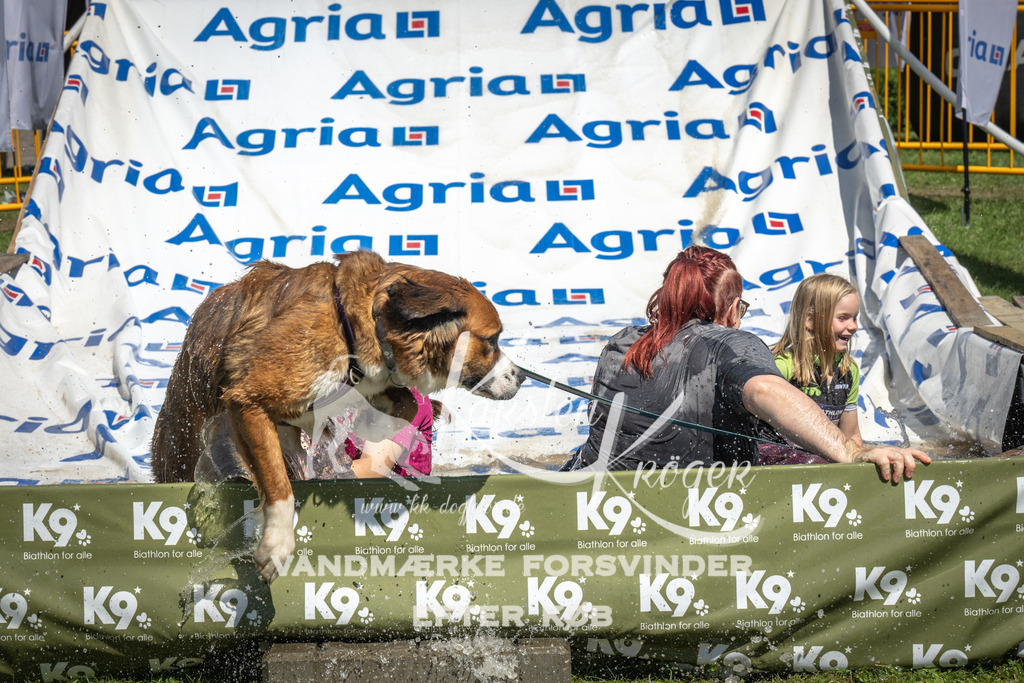 1352_ZZ91698 | kk-dogfotos