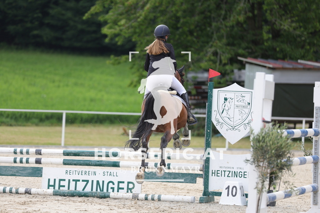 0P6A5180 | Willkommen bei Brunnmayr - Design & Fotografie – Ihrem Spezialisten für Reitturniere und Pferdeveranstaltungen in Oberösterreich, Salzburg und Bayern! Seit über 17 Jahren sind wir leidenschaftlich dabei.