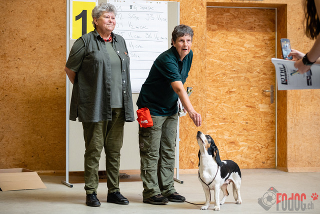 Expo Hunde CAC 2023 Escholzmatt | Expo SLC/CCC/CSS (CAC) in Escholzmatt. 03.06.2023 Foto: Leo Wyden
