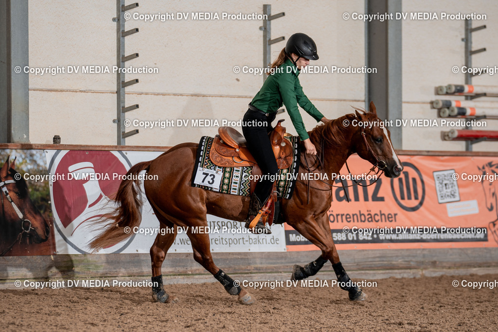 LM Heiligenwald Tag 3-207 | dv-media-shop - Realisiert mit Pictrs.com