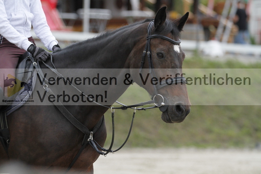 _MG_2653 | equestrian-live-com