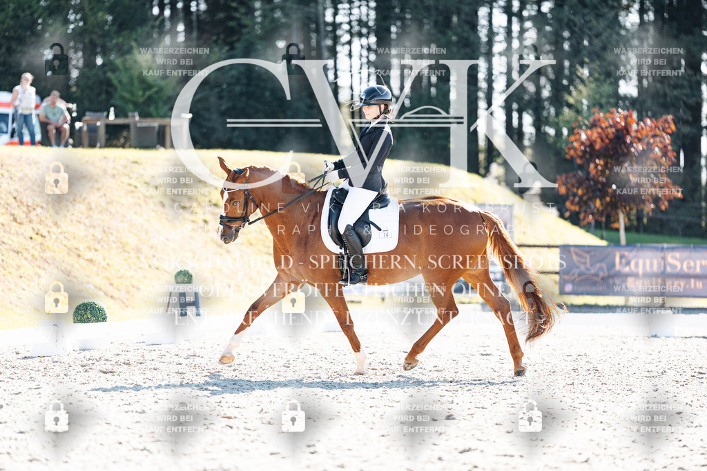 CK906020 | Turnierfotografie Pferdefotografie Trier Rheinland-Pfalz Pferdesport Reitsport Tierfotografie Sportfotografie Pferdevideo Pferdevideografie Equestrianvideography equestrianphotography  - Realisiert mit Pictrs.com