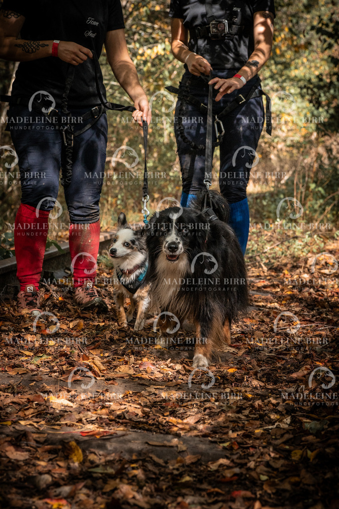 madeleinebirr.fotografie.2026.cc.hunsrueck.12-13Uhr.332 | hundefotografie-birr