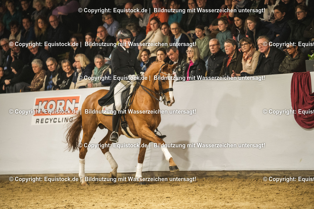 20240302_Hengstvorstellung_Marbach_TOMsPiC_0940 | equistock