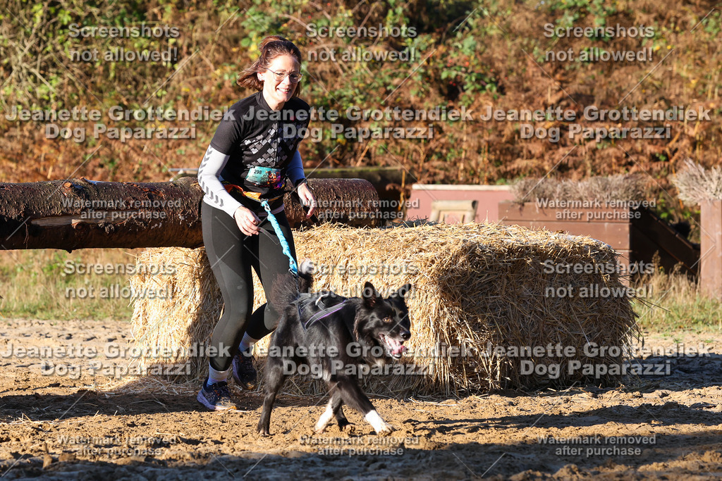 Dog Paparazzi - Strongdog 10-25-1040 | Dog Paparazzi Jeanette Grottendiek Fotografie & Videografie - Realisiert mit Pictrs.com
