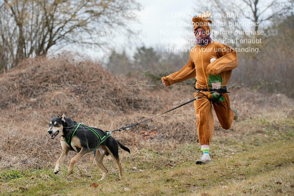 Fasching-8 | stephaniefillaphotographie - Realisiert mit Pictrs.com