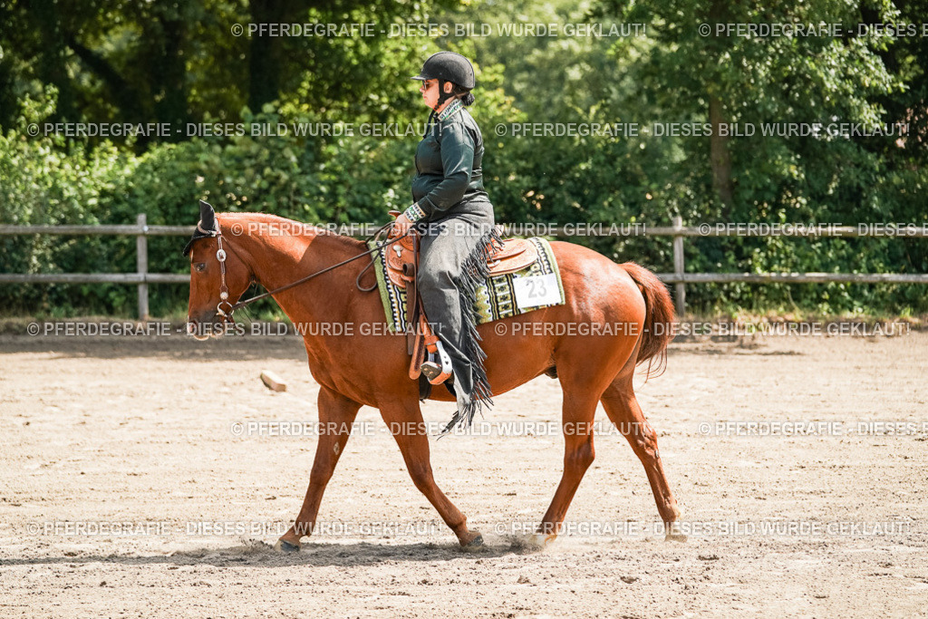 DSC06483 | Pferdegrafie