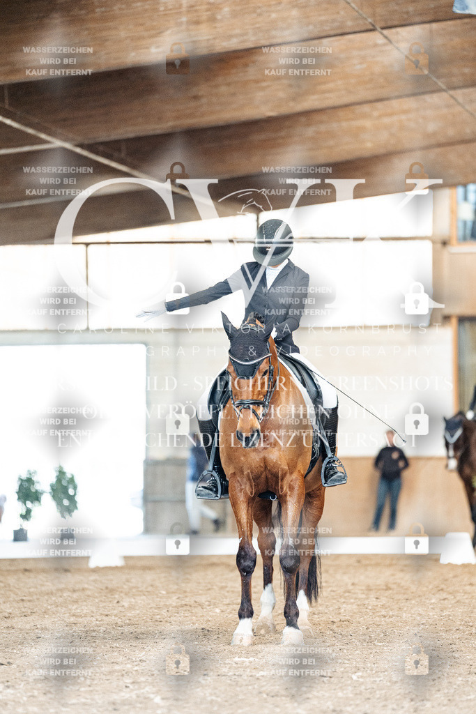 CK901102 | Turnierfotografie Pferdefotografie Trier Rheinland-Pfalz Pferdesport Reitsport Tierfotografie Sportfotografie Pferdevideo Pferdevideografie Equestrianvideography equestrianphotography  - Realisiert mit Pictrs.com