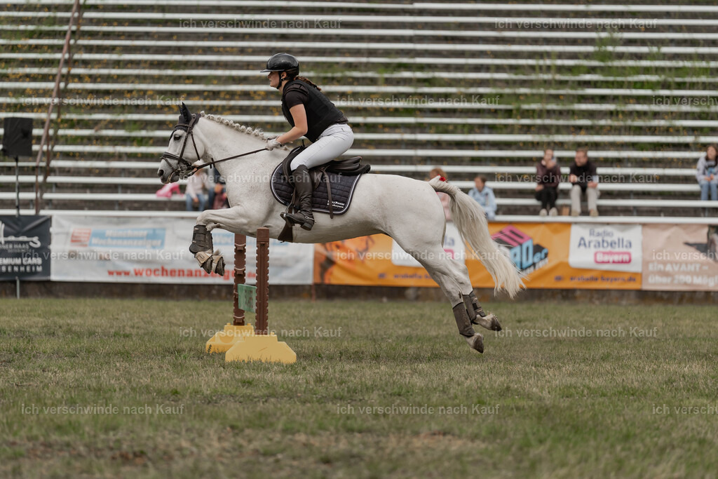 Showprogramm-387 | working equitationturnier fotograf videograf stoibphotography marixx film working equitation deutschland reitsport turnierfotografie eventfotografie equestrian events