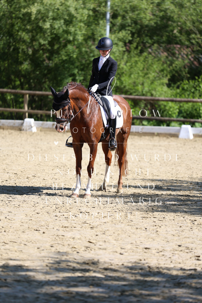 IMGT0109 | pl-fotografie