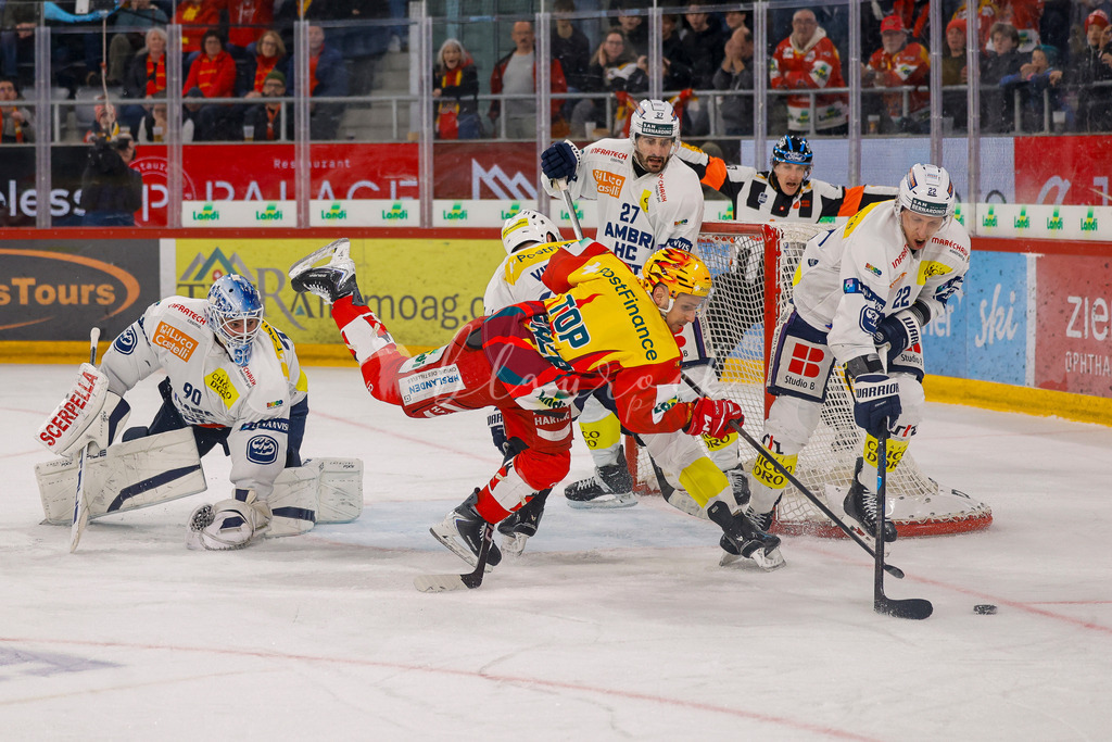 EHCB vs HCAP 20260115_wb-4520 | Sportbilder, Sportfotograf, Hochzeits- und Eventfotografin, Flugshows, Portraits und Tiershooting, Aviation, Downhill, Nationalleague, Swissleague, International