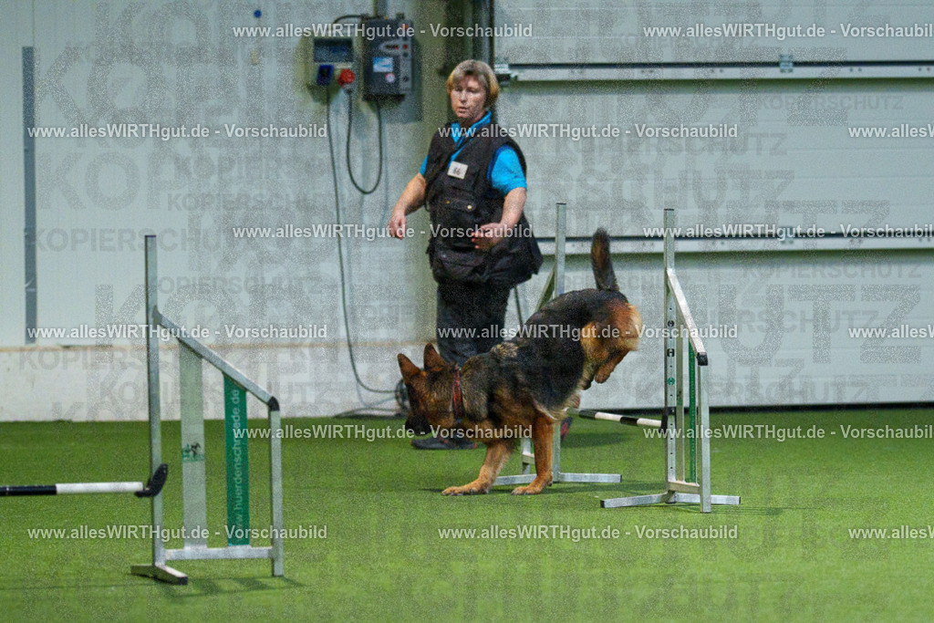 7R507995 | Professionelle Tierfotografie in Mönchengladbach von Daniel Wirth (allesWIRTHgut). Liebevolle & natürliche Bilder von Hunden & Katzen für unvergessliche Erinnerungen.