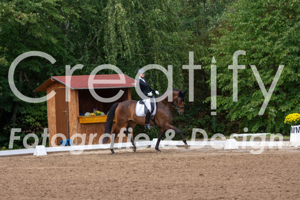 IMG_3810 | Creatify Fotografie