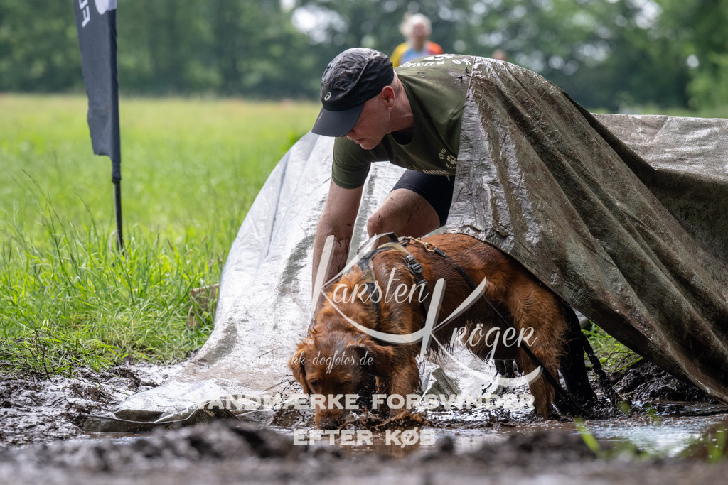 1115_ZZ92178 | kk-dogfotos