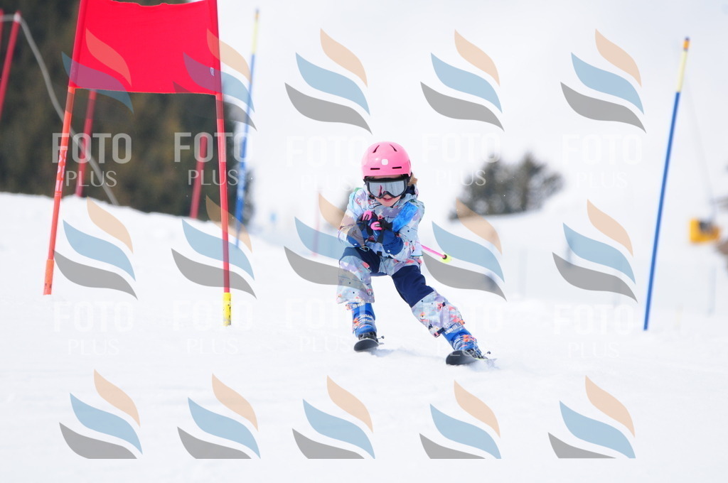 A3664 | holidayphoto