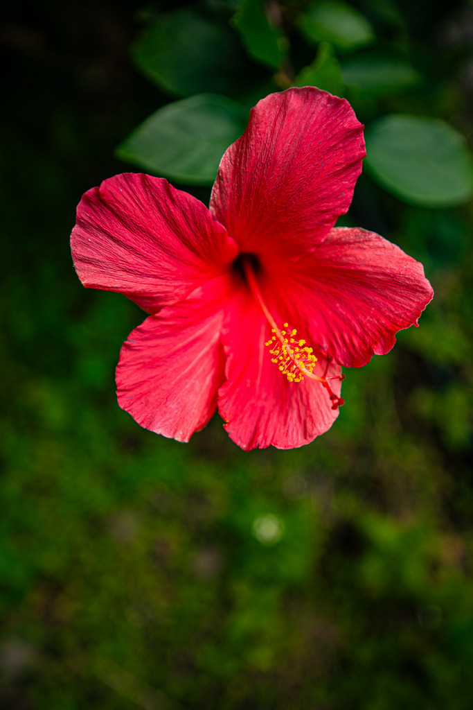 DSC05471 (7) | <meta name="keywords" content="Bergbilder, Hochzeitsfotografie, Actionshootings, Fotografiearbeiten, Berglandschaften, Naturfotografie">

 - Realisiert mit Pictrs.com