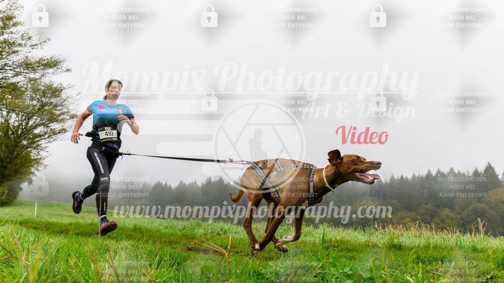 MompixPhotography_20TSB_E5_Run-68 | PayLife