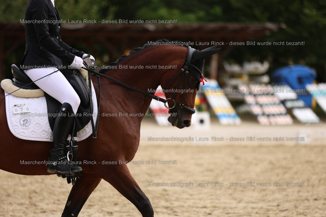 HG9A0854 | laurarinckfotografie - Realisiert mit Pictrs.com