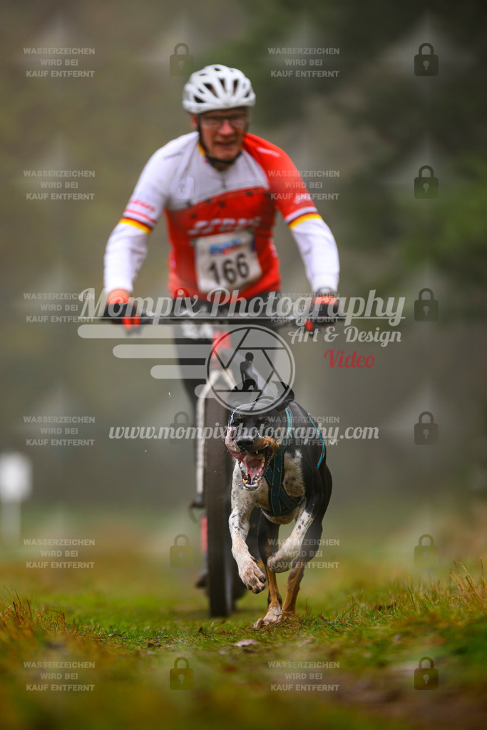 MompixPhotography_Bischwiller2025_Scooter-33 | mompixphotography