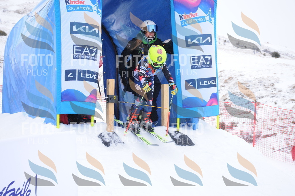 DSC_8751 | holidayphoto