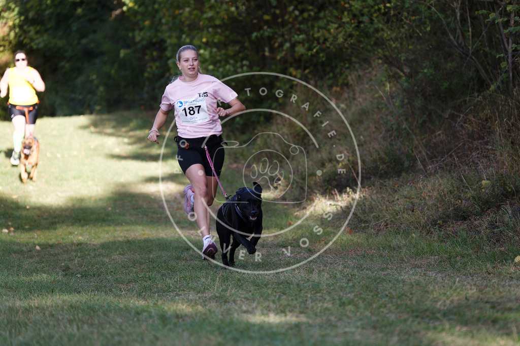 0L8A5484 | Hundefotografie, Tierfotograf, Pfotenfotografie, Fotoshooting Hund, Hunde Portrait, Hundesport, Hundeportraits, Heideshooting, Hunde, Sportfotograf, Hundefotograf, Turnierhundsport, THS,  - Realisiert mit Pictrs.com