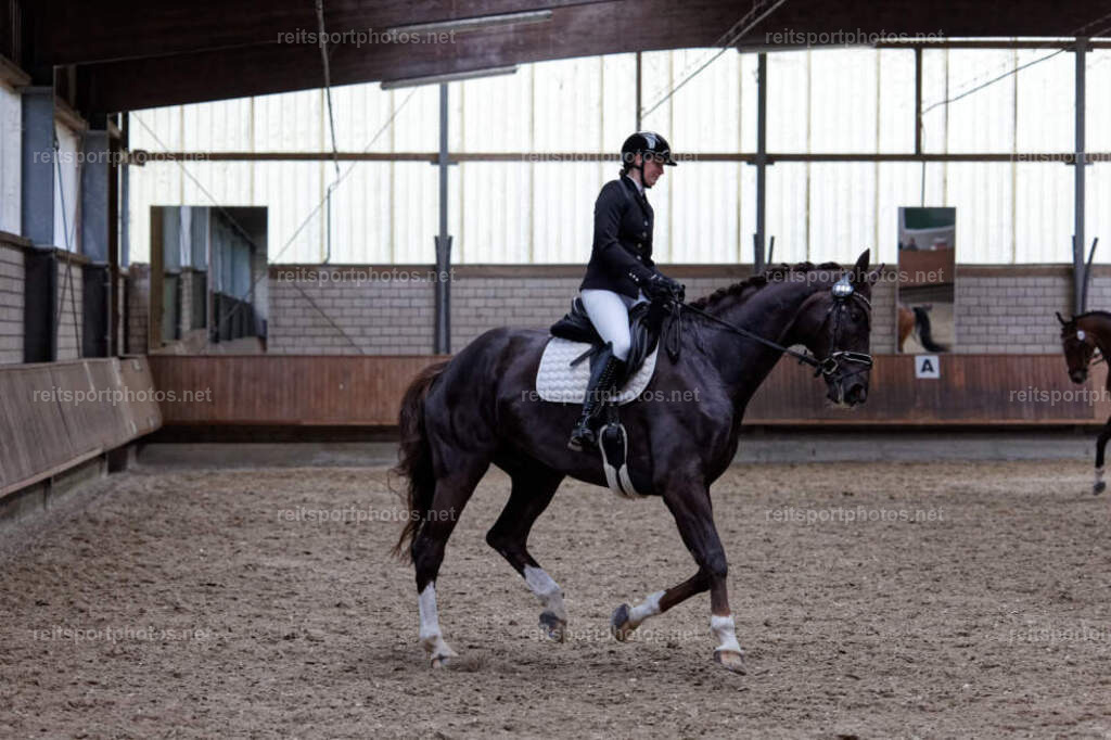 JHE34084 | JoYa Fotografie - Realisiert mit Pictrs.com