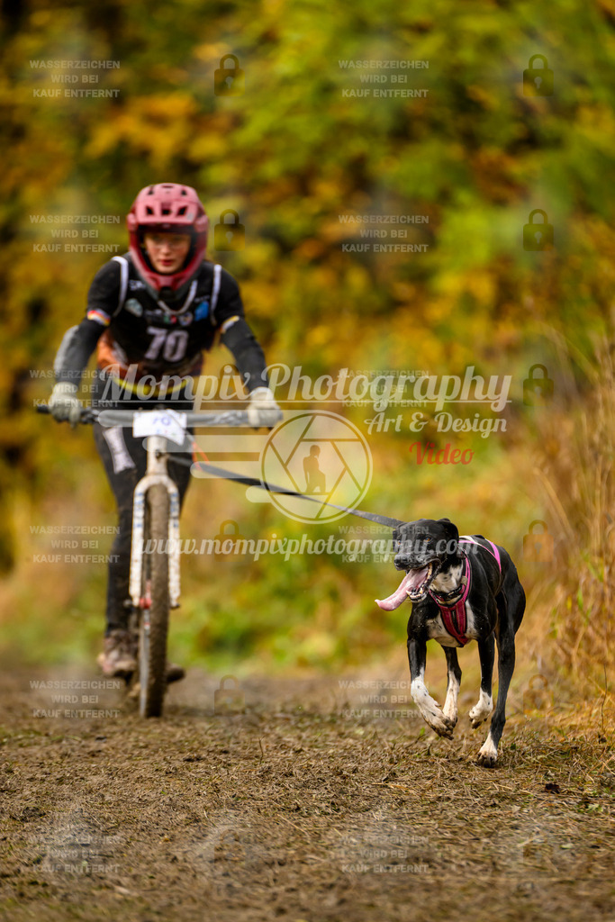 MompixPhotography_ICF_WC_2024_SA_DS_-162 | PayLife
