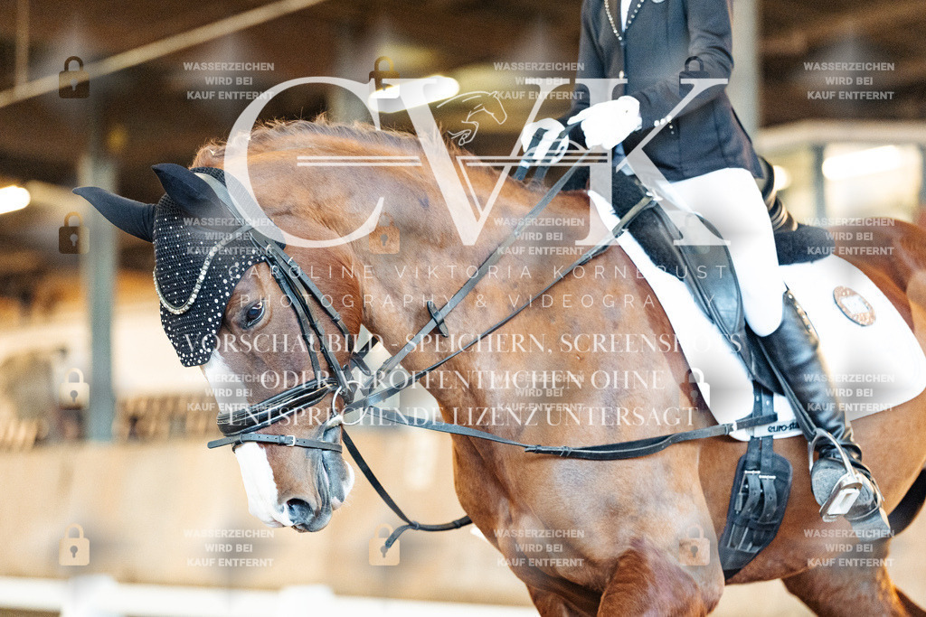 CK906708 | Turnierfotografie Pferdefotografie Trier Rheinland-Pfalz Pferdesport Reitsport Tierfotografie Sportfotografie Pferdevideo Pferdevideografie Equestrianvideography equestrianphotography  - Realisiert mit Pictrs.com