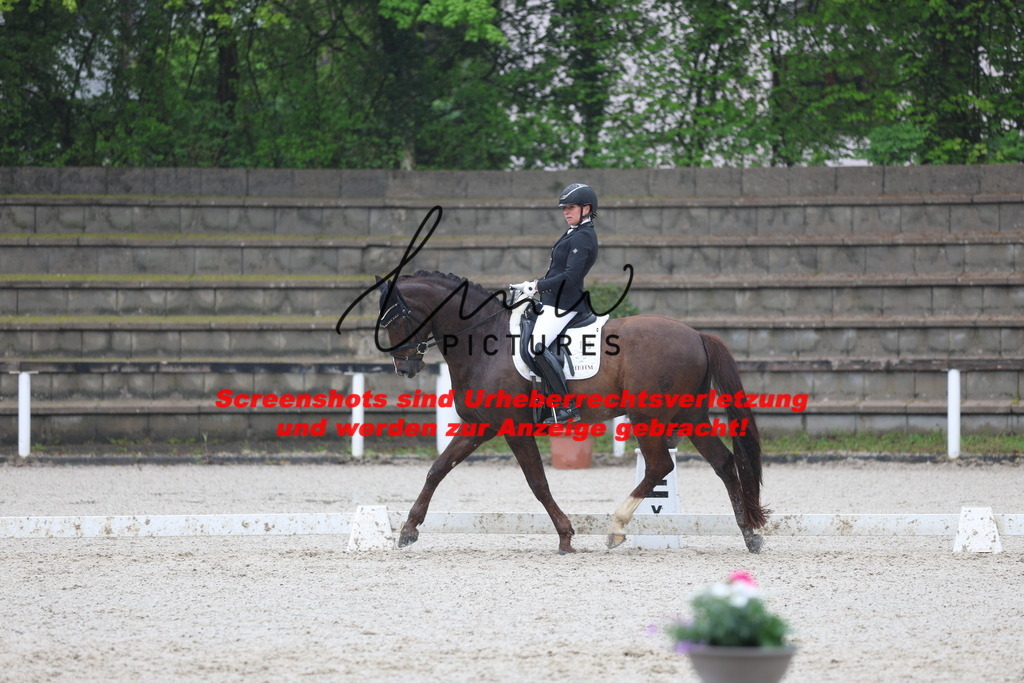 A40A8034 | lmwpictures - Realisiert mit Pictrs.com