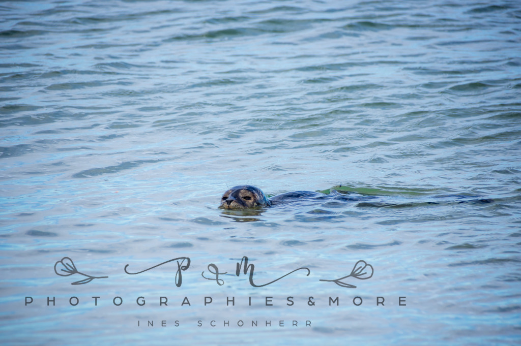 _Grenen22-1722 | Photographies and more - Realisiert mit Pictrs.com