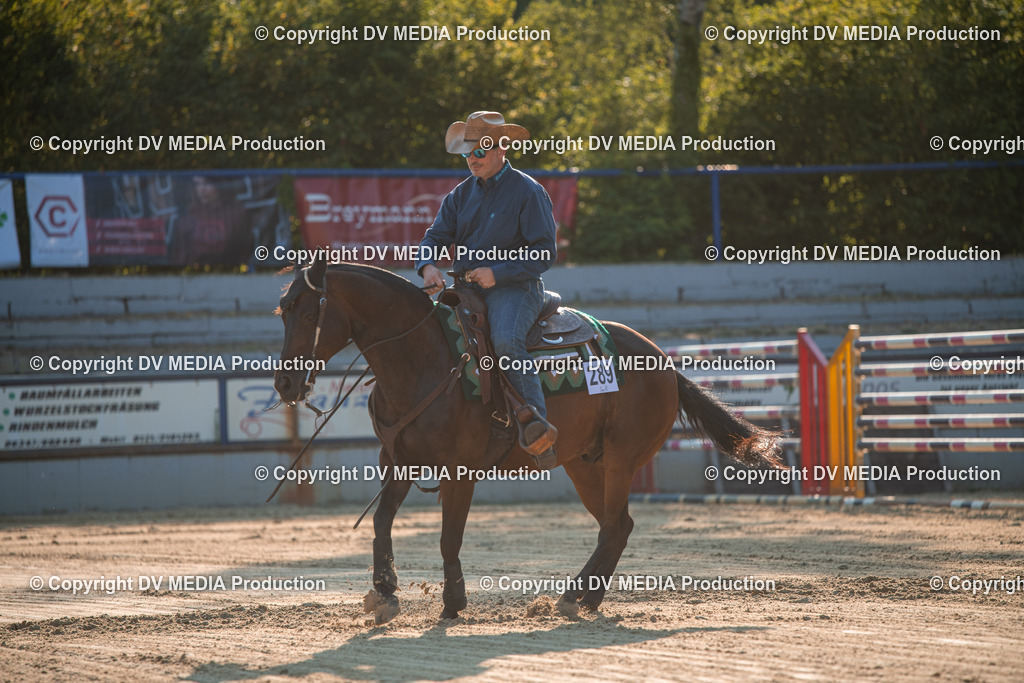 ZS2_9013 | dv-media-shop - Realisiert mit Pictrs.com