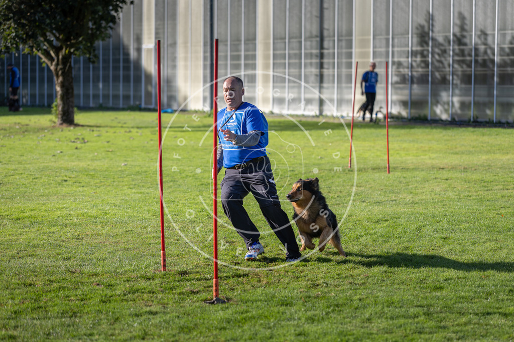 Pfotenfotografie.de_DV3A3319 | Hundefotografie, Tierfotograf, Pfotenfotografie, Fotoshooting Hund, Hunde Portrait, Hundesport, Hundeportraits, Heideshooting, Hunde, Sportfotograf, Hundefotograf, Turnierhundsport, THS, canicross - Realisiert mit Pictrs.com