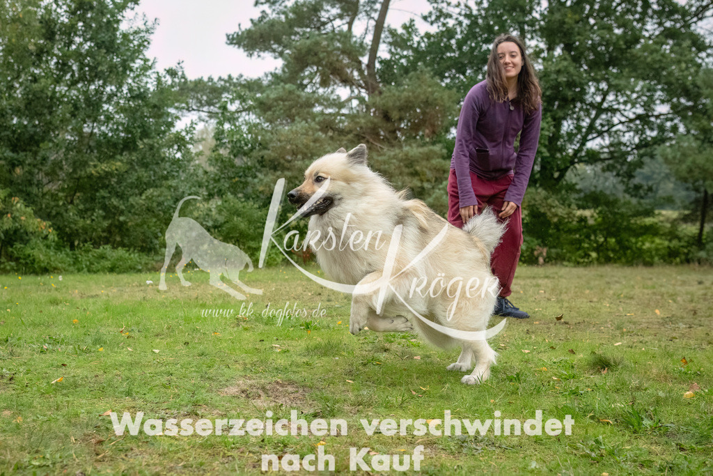 1114_ZZ93998-Bearbeitet | kk-dogfotos