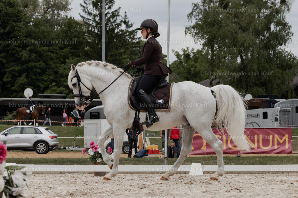 WE_DR_Stoib_318_PI2025_476 | Pferd International München 2025